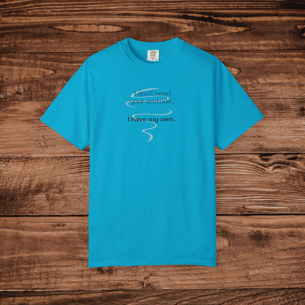 I Have My Own Attitude Shirt, Sarcastic Graphic Tee, Funny Saying T-Shirt, Retro Comfort Colors 1717 Top, Sassy Minimalist