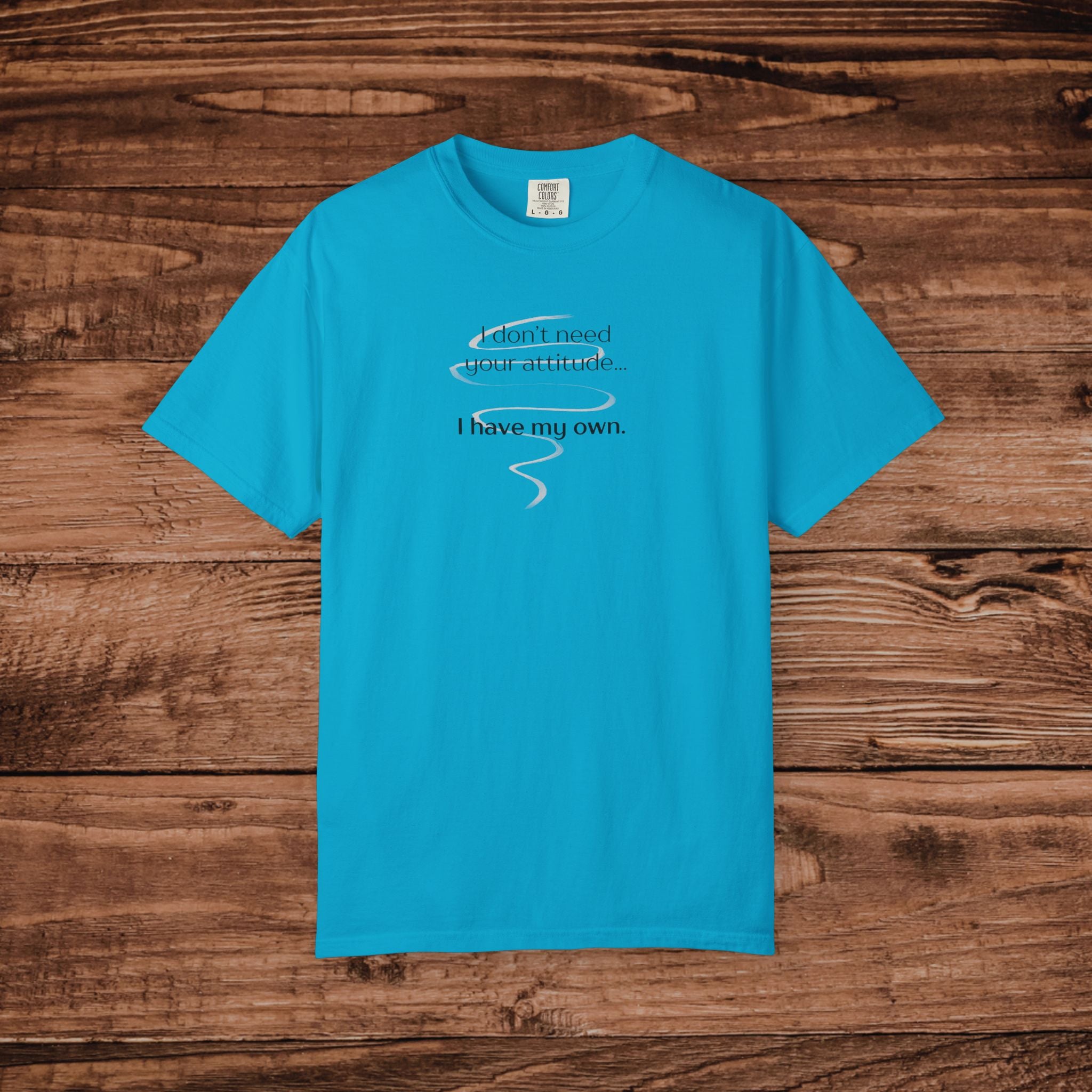 I Have My Own Attitude Shirt, Sarcastic Graphic Tee, Funny Saying T-Shirt, Retro Comfort Colors 1717 Top, Sassy Minimalist