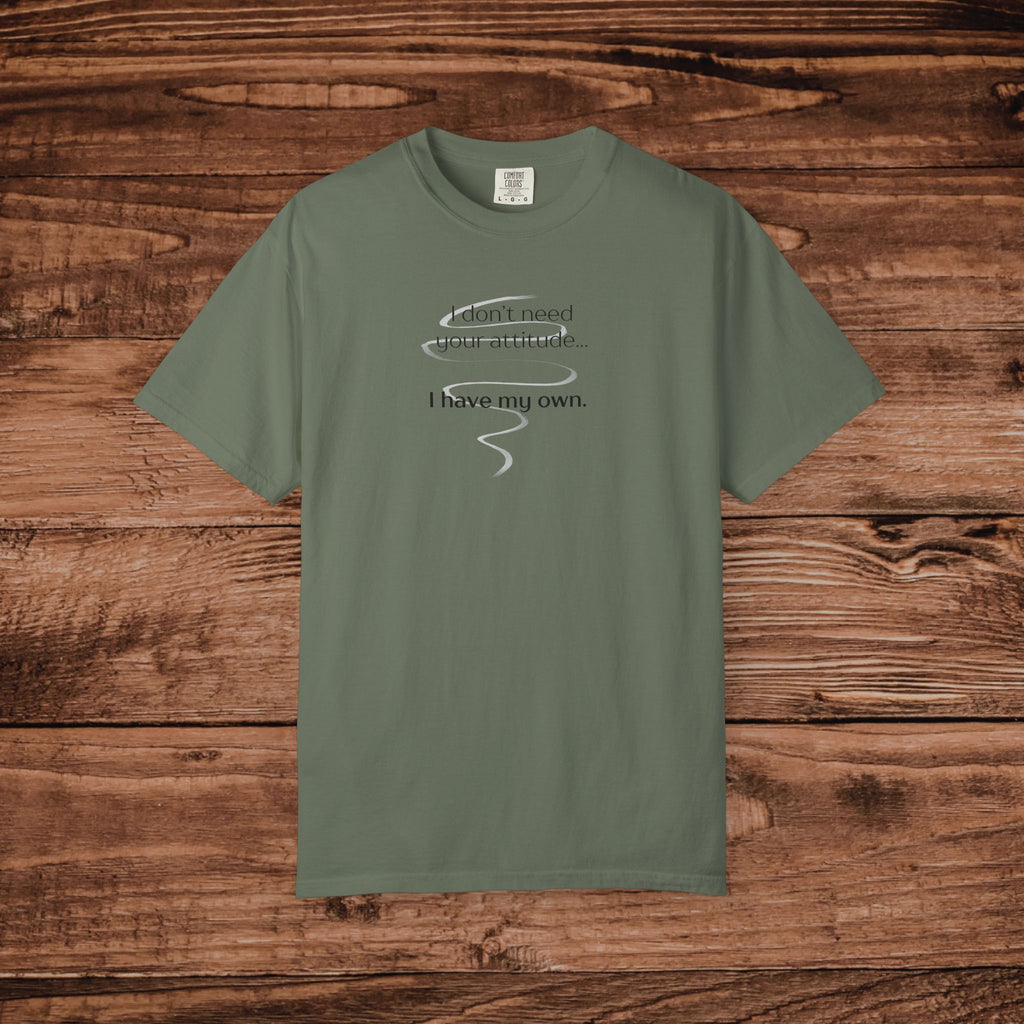 I Have My Own Attitude Shirt, Sarcastic Graphic Tee, Funny Saying T-Shirt, Retro Comfort Colors 1717 Top, Sassy Minimalist