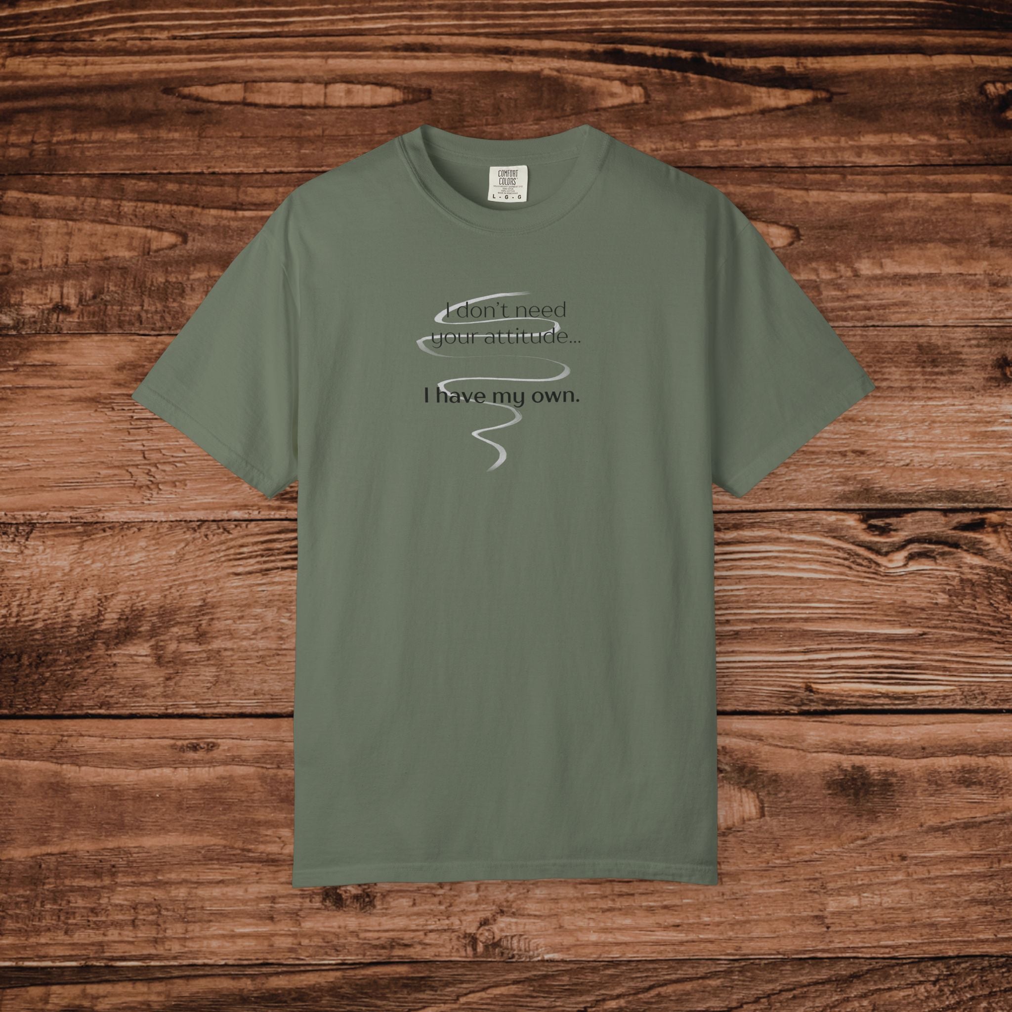 I Have My Own Attitude Shirt, Sarcastic Graphic Tee, Funny Saying T-Shirt, Retro Comfort Colors 1717 Top, Sassy Minimalist