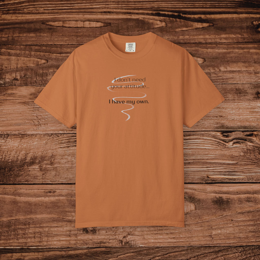 I Have My Own Attitude Shirt, Sarcastic Graphic Tee, Funny Saying T-Shirt, Retro Comfort Colors 1717 Top, Sassy Minimalist