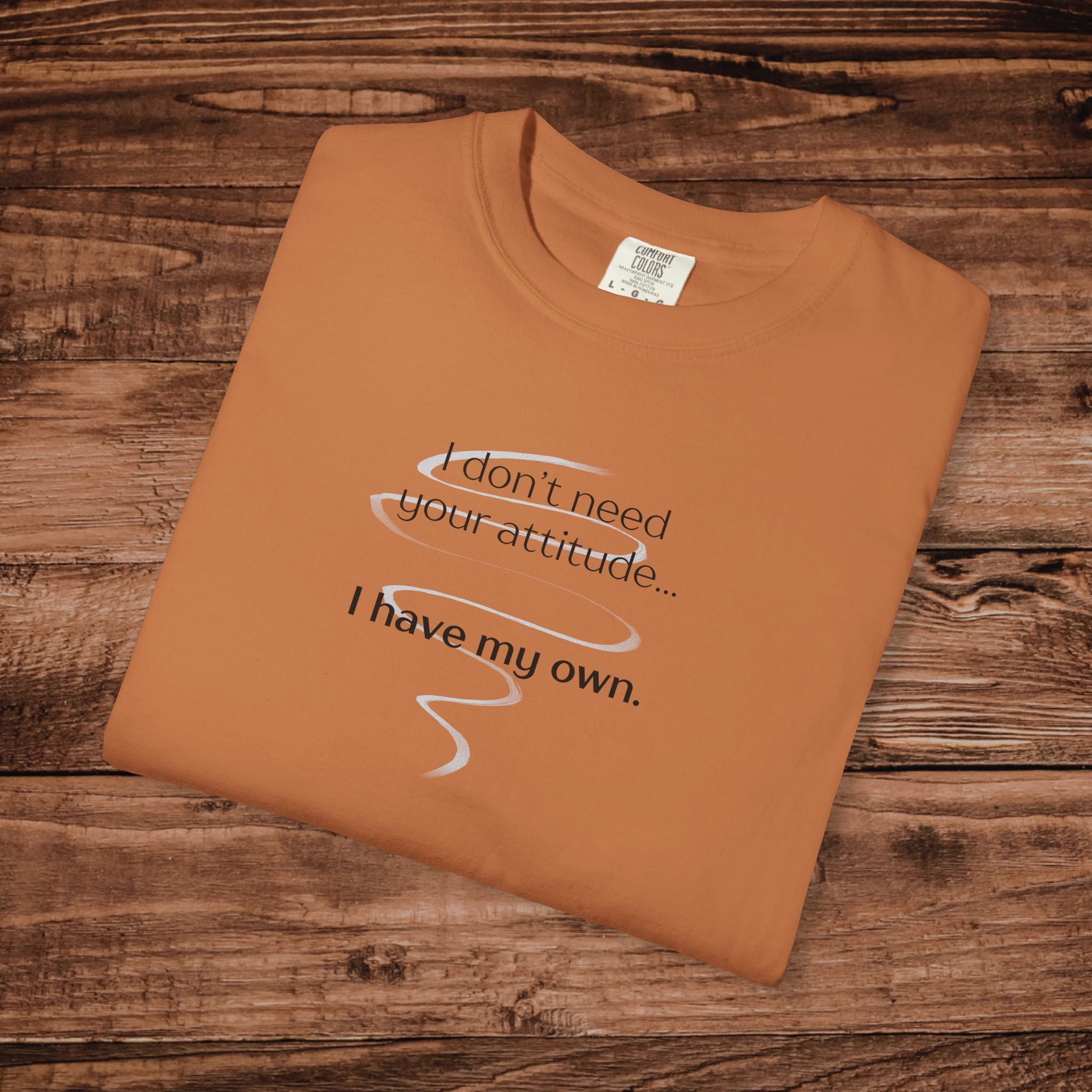 I Have My Own Attitude Shirt, Sarcastic Graphic Tee, Funny Saying T-Shirt, Retro Comfort Colors 1717 Top, Sassy Minimalist