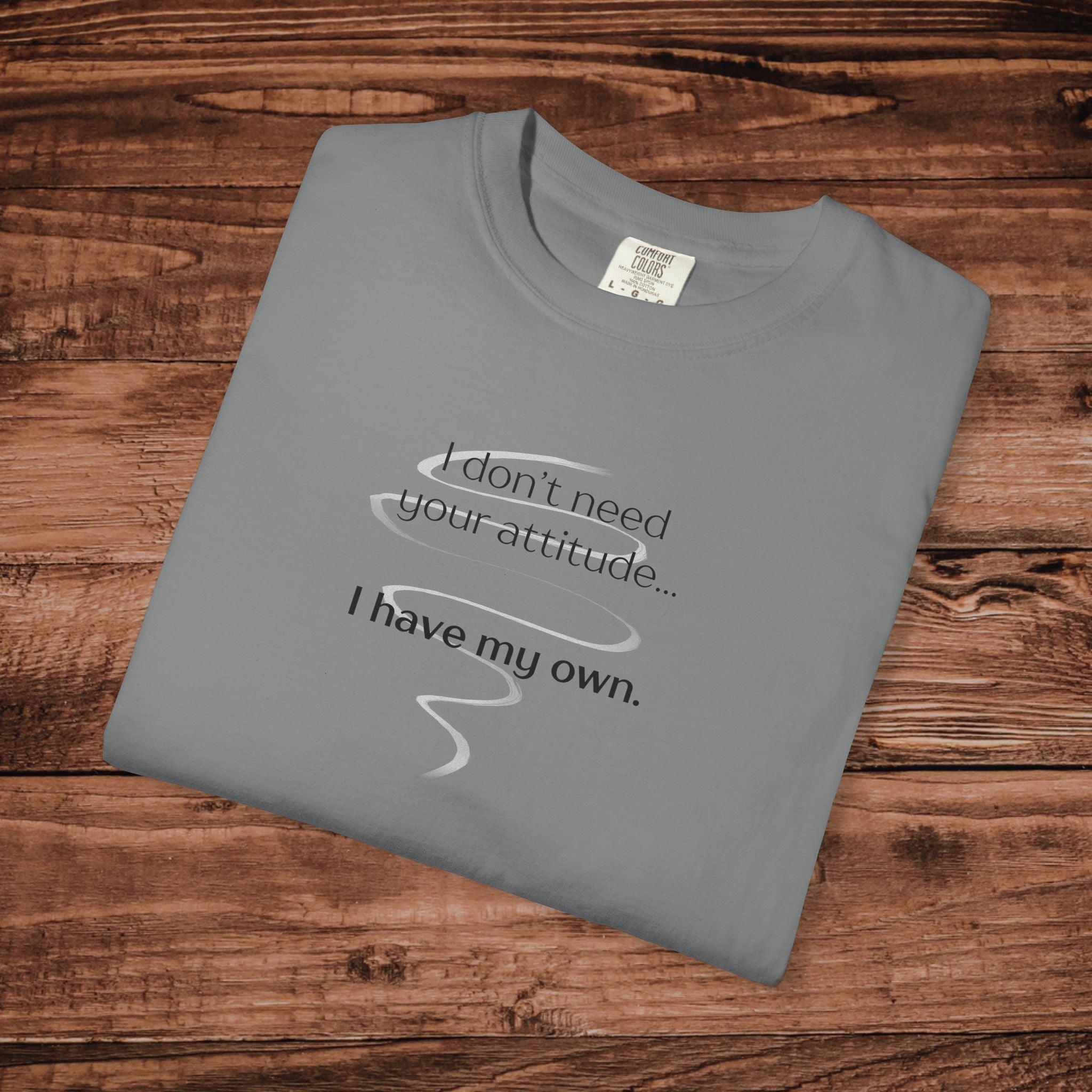 I Have My Own Attitude Shirt, Sarcastic Graphic Tee, Funny Saying T-Shirt, Retro Comfort Colors 1717 Top, Sassy Minimalist