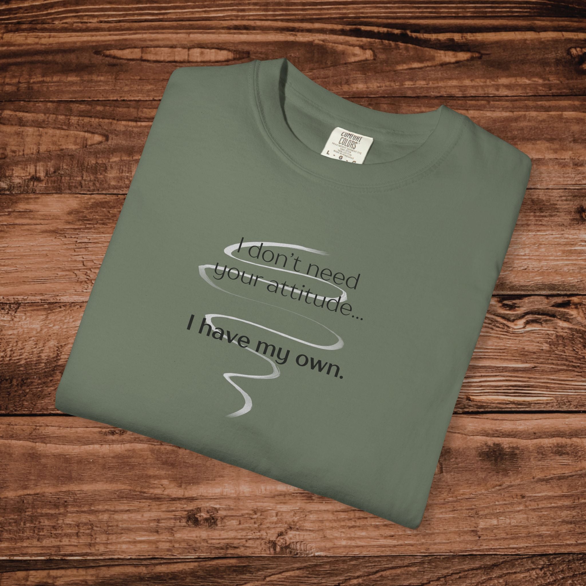 I Have My Own Attitude Shirt, Sarcastic Graphic Tee, Funny Saying T-Shirt, Retro Comfort Colors 1717 Top, Sassy Minimalist