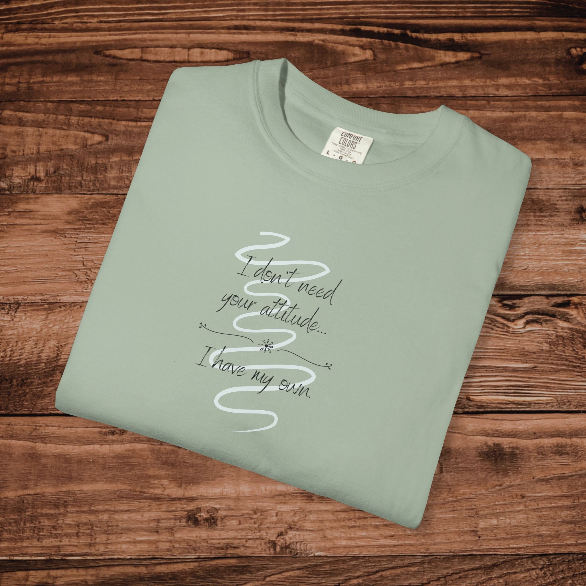 I Have My Own Attitude Shirt, Sarcastic Women's Graphic Tee, Funny Saying T-Shirt, Comfort Colors 1717 Top, Sassy Minimalist Gift for Her