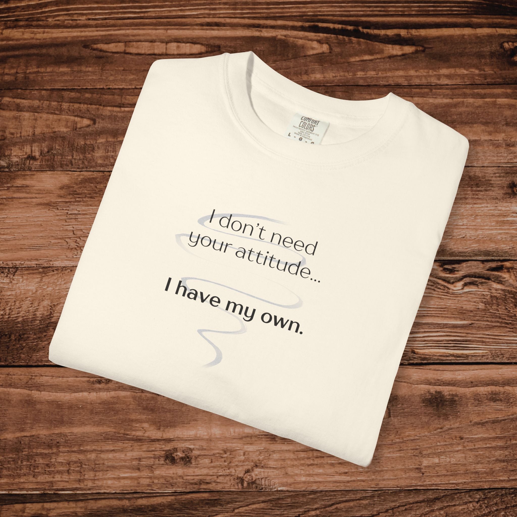 I Have My Own Attitude Shirt, Sarcastic Graphic Tee, Funny Saying T-Shirt, Retro Comfort Colors 1717 Top, Sassy Minimalist