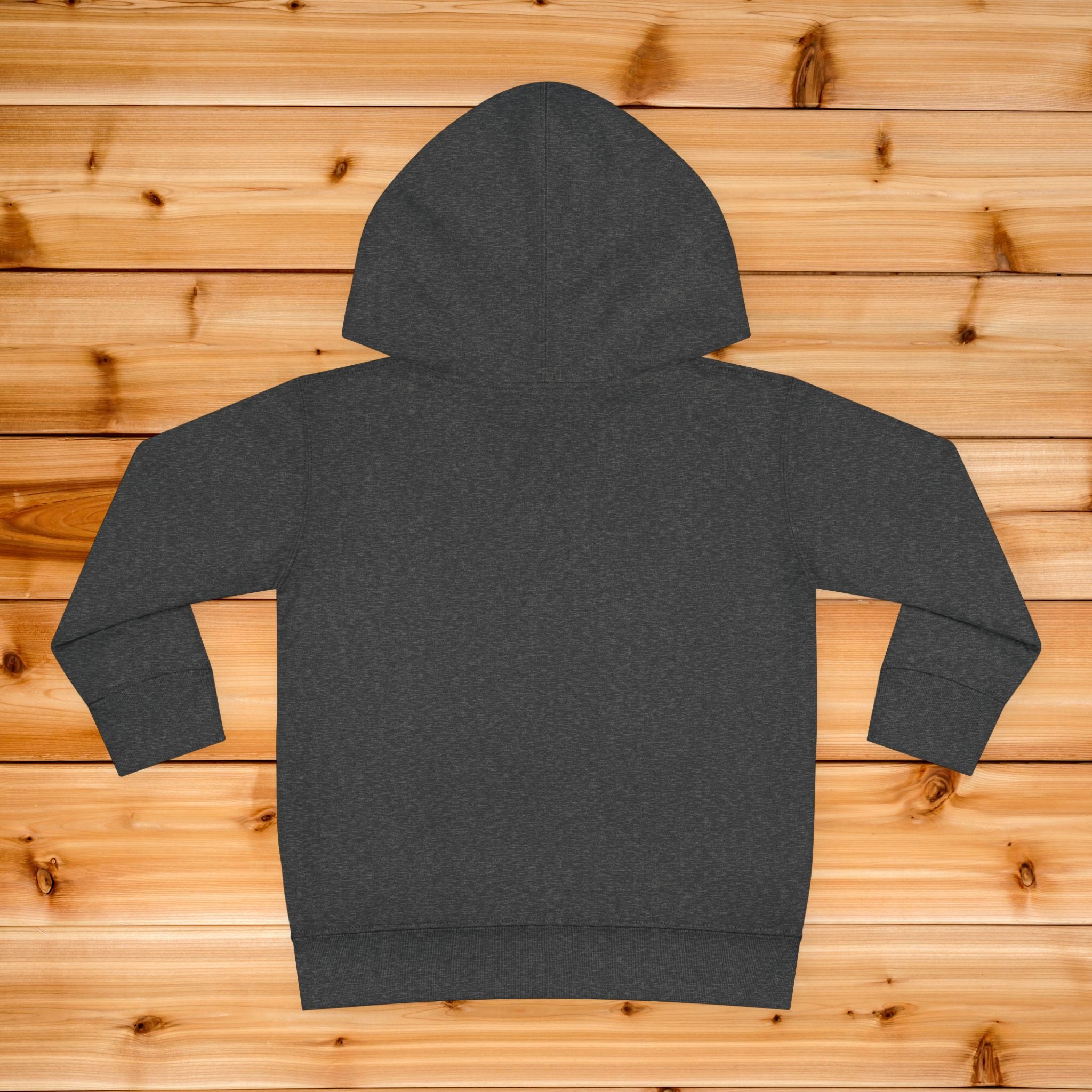 Little Light toddler hoodie | kids pullover with lamp graphic