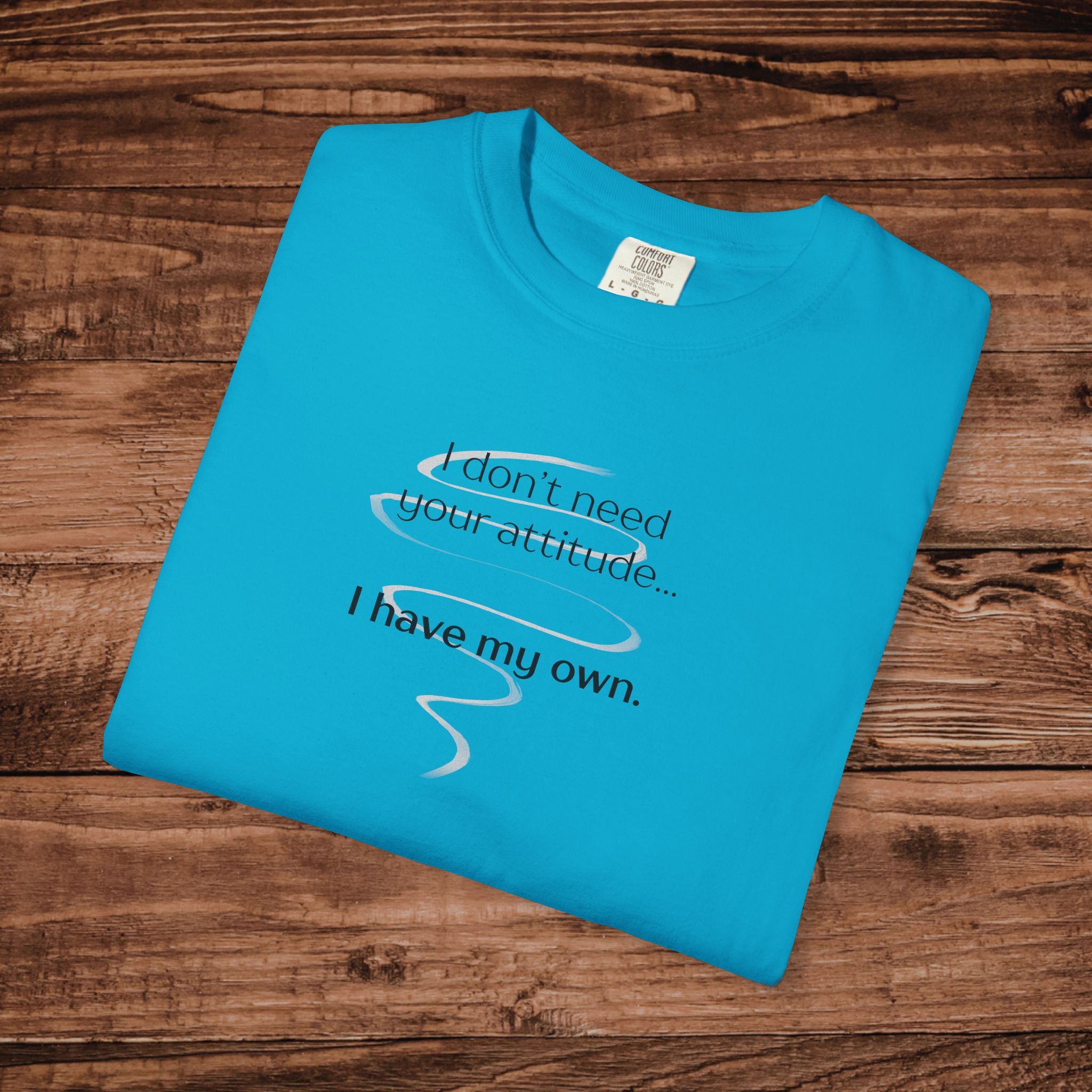 I Have My Own Attitude Shirt, Sarcastic Graphic Tee, Funny Saying T-Shirt, Retro Comfort Colors 1717 Top, Sassy Minimalist