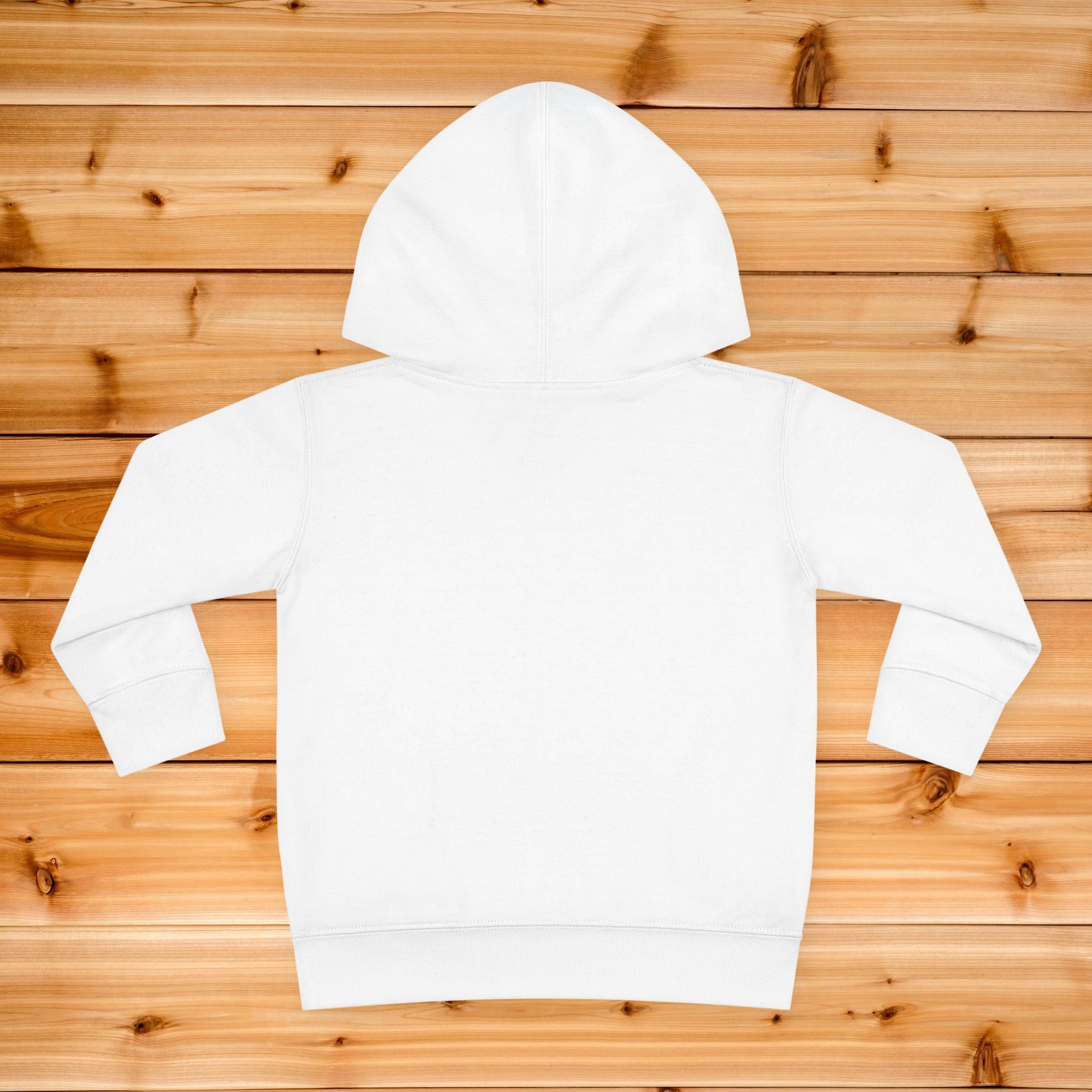 Little Light toddler hoodie | kids pullover with lamp graphic