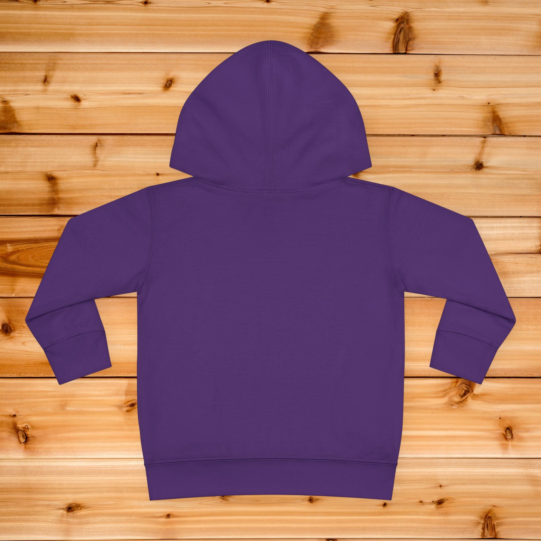 Little Light toddler hoodie | kids pullover with lamp graphic