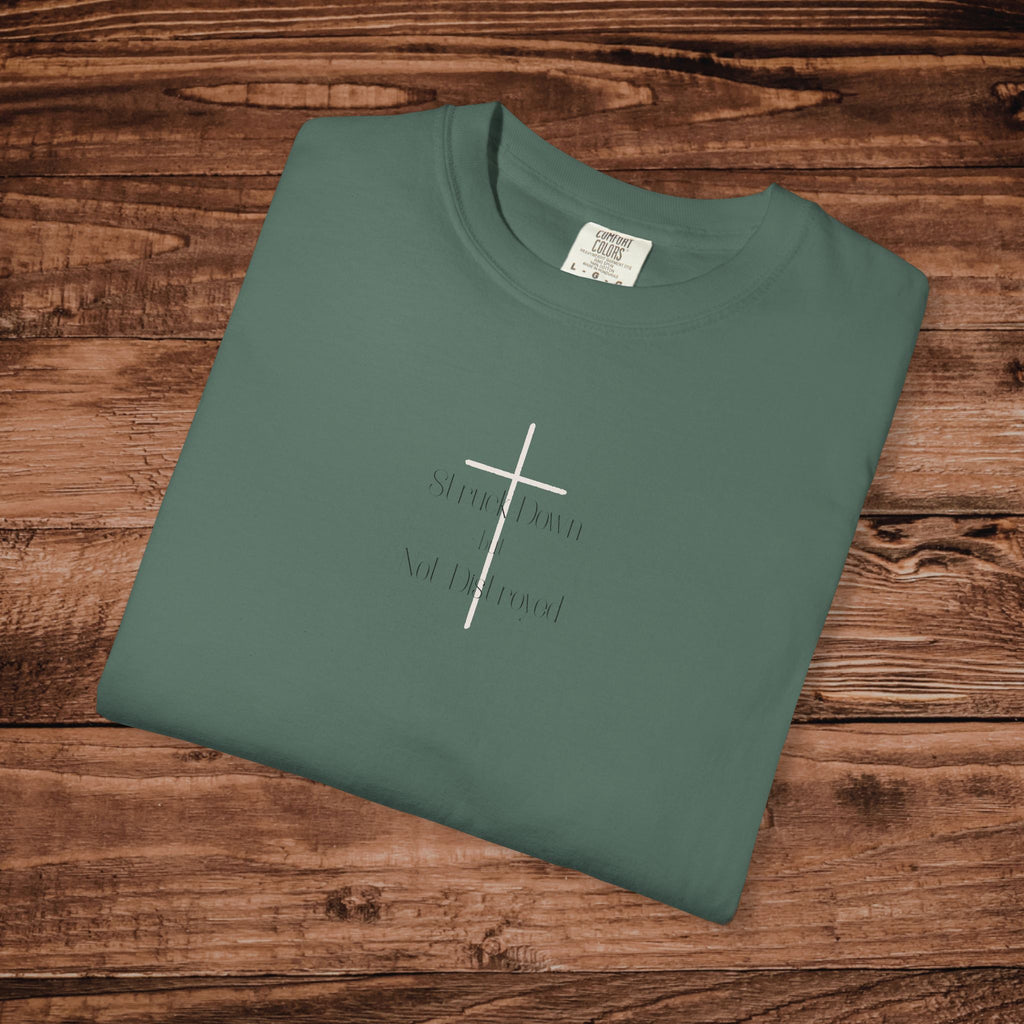 Adult T-shirt | Struck down but not destroyed Cross