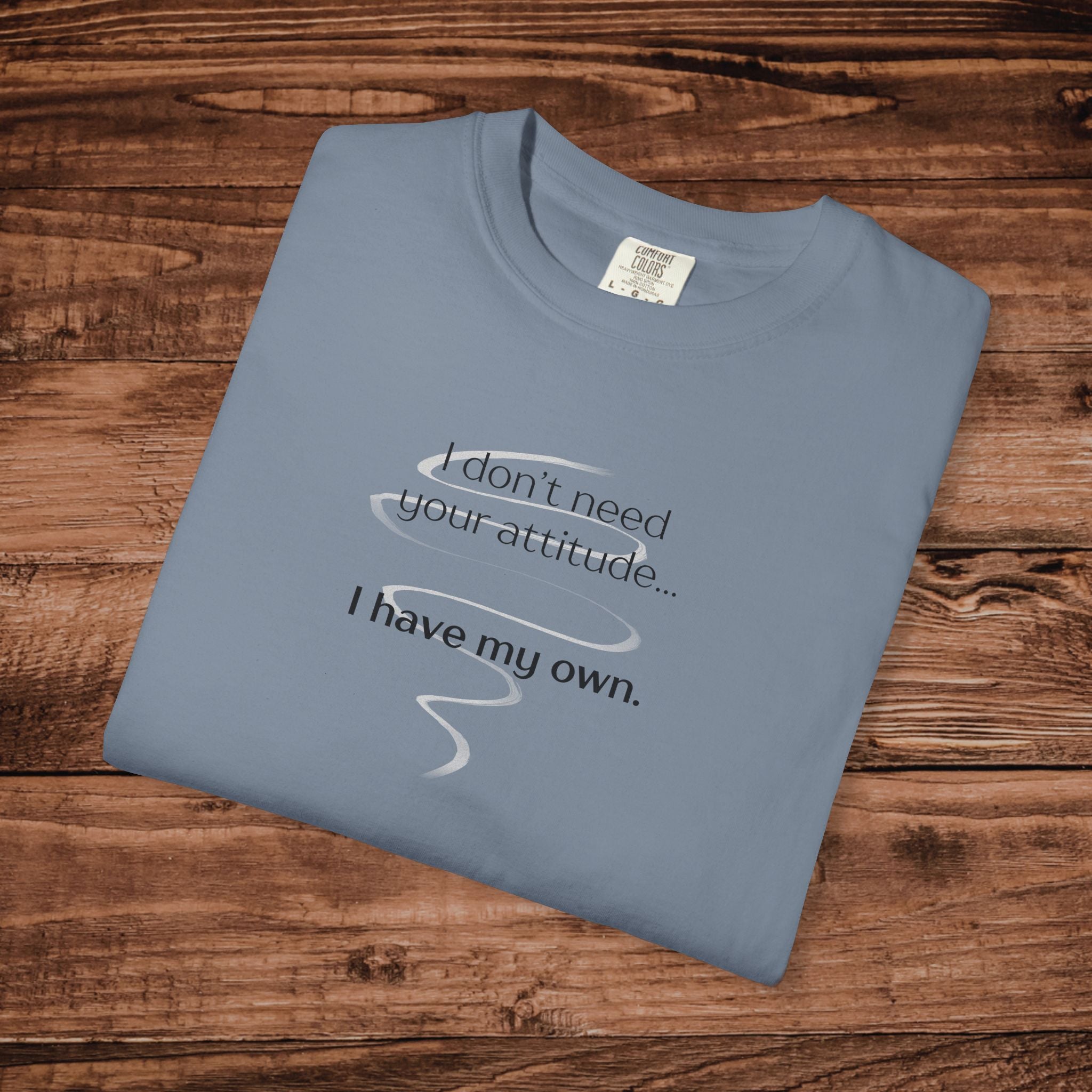 I Have My Own Attitude Shirt, Sarcastic Graphic Tee, Funny Saying T-Shirt, Retro Comfort Colors 1717 Top, Sassy Minimalist