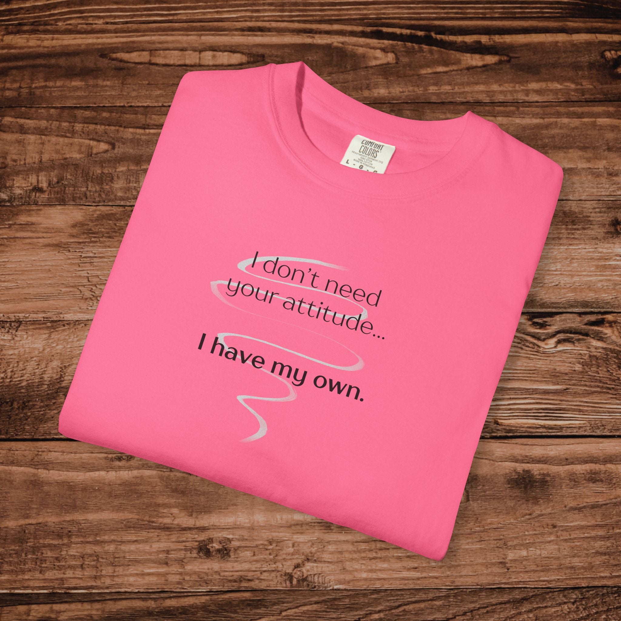 I Have My Own Attitude Shirt, Sarcastic Graphic Tee, Funny Saying T-Shirt, Retro Comfort Colors 1717 Top, Sassy Minimalist