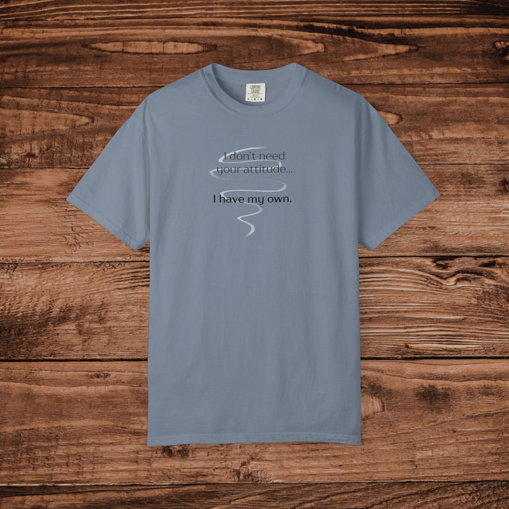 I Have My Own Attitude Shirt, Sarcastic Graphic Tee, Funny Saying T-Shirt, Retro Comfort Colors 1717 Top, Sassy Minimalist