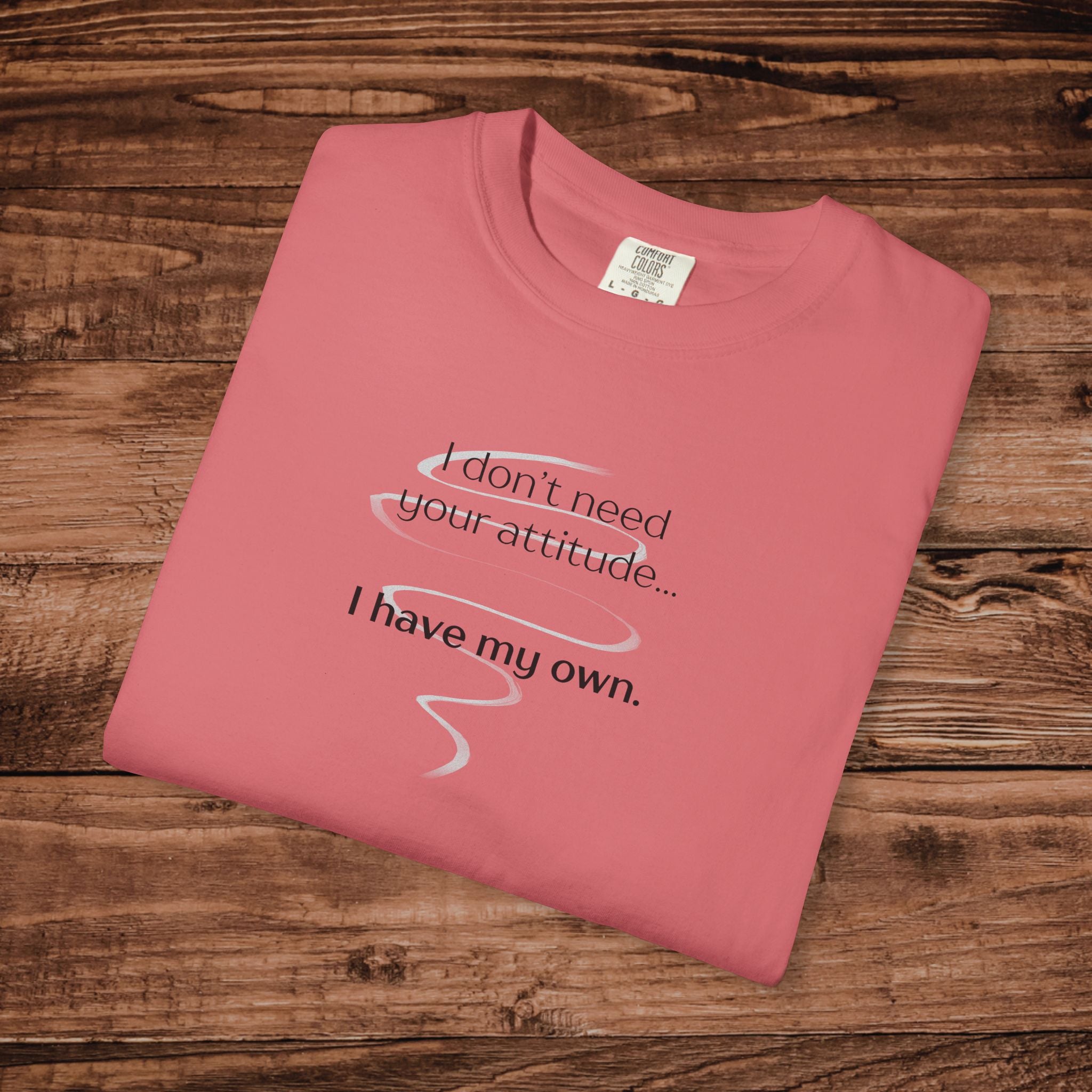 I Have My Own Attitude Shirt, Sarcastic Graphic Tee, Funny Saying T-Shirt, Retro Comfort Colors 1717 Top, Sassy Minimalist